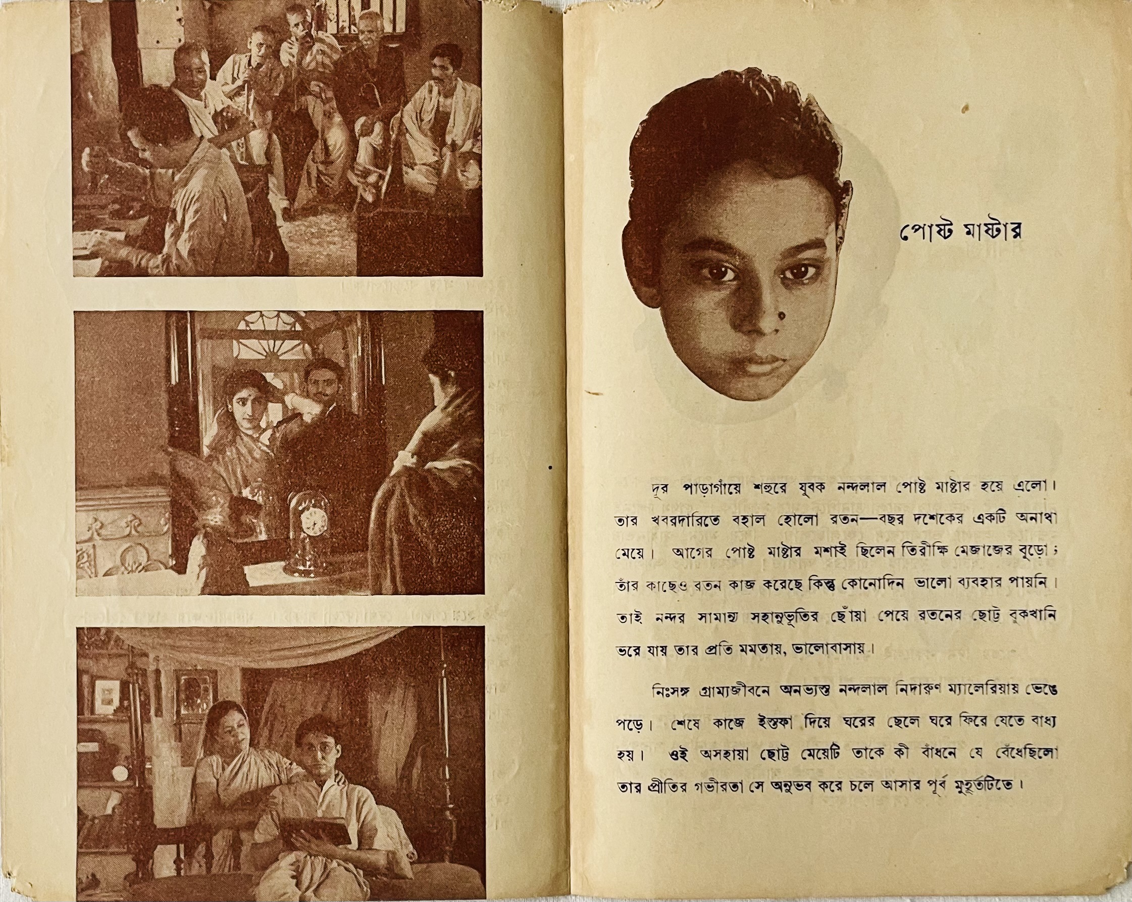 Index Image 3