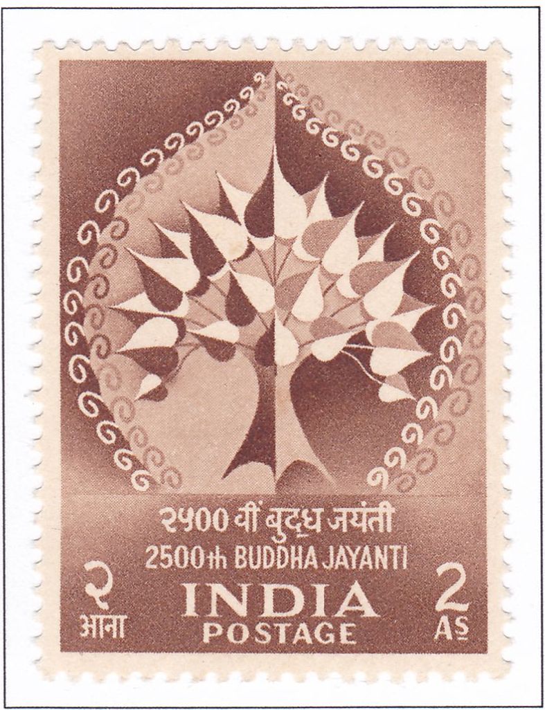 Index Image 5