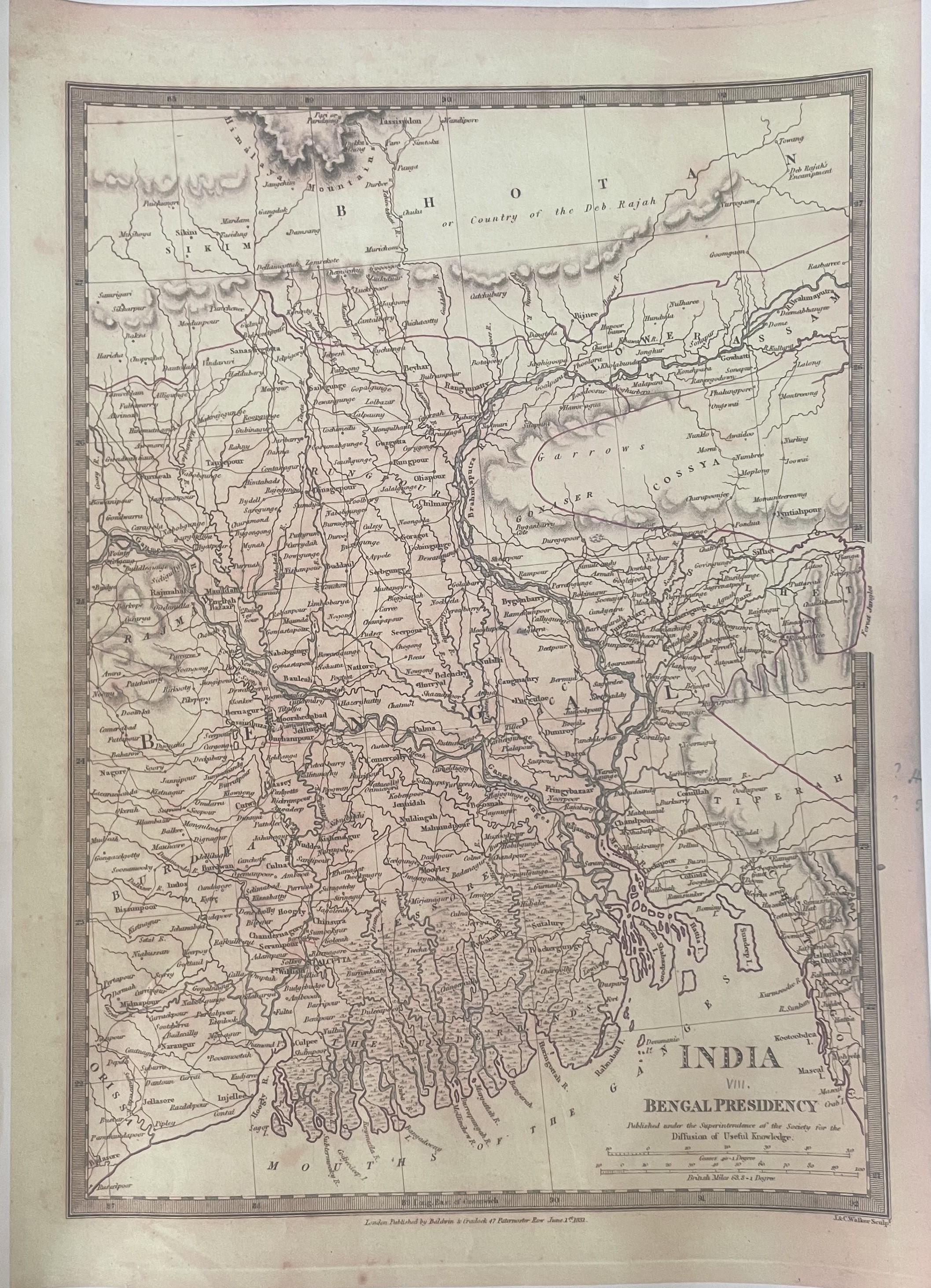 Index Image 3