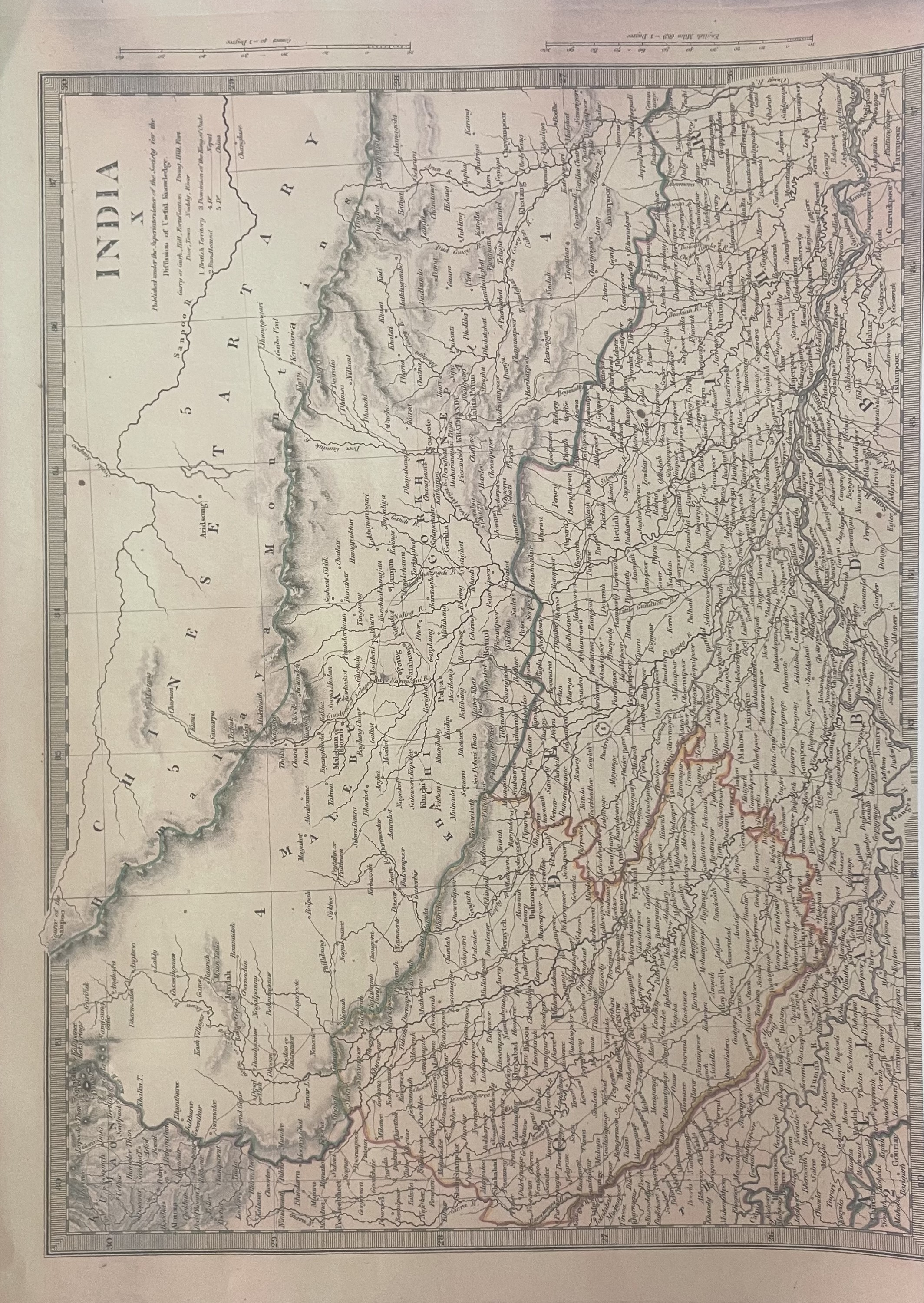 Index Image 7