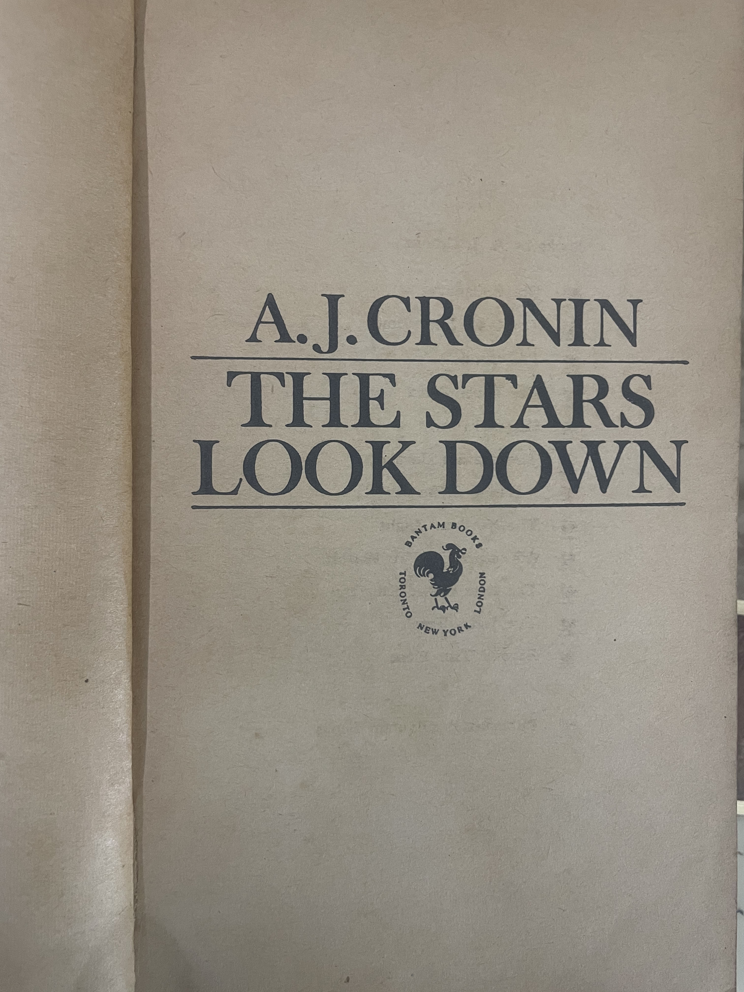 The Stars Look Down